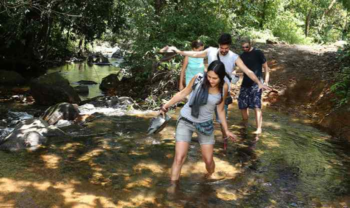 Best accomodation in wayanad